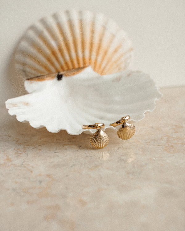 Kolczyki Coquille