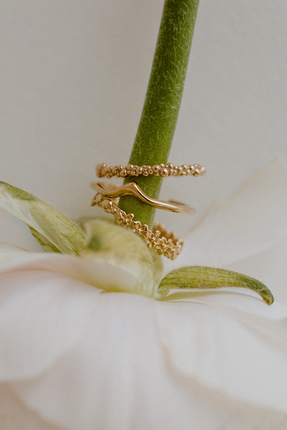 Strona główna 3 img 0884