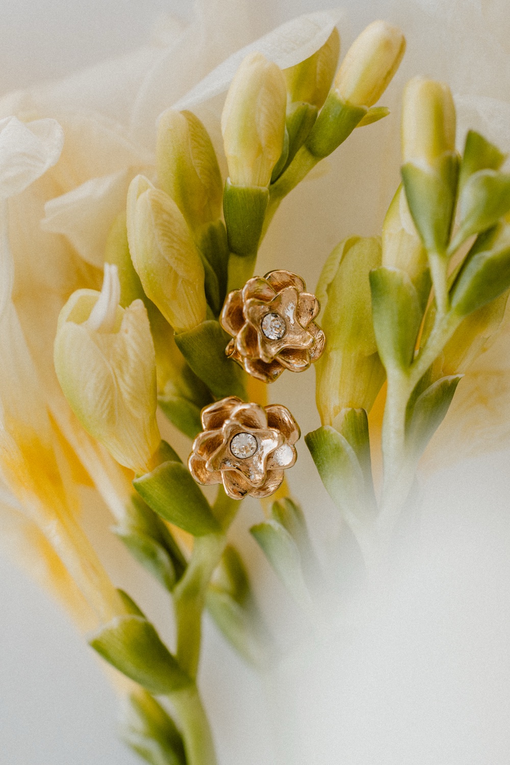 Strona główna 4 img 0908