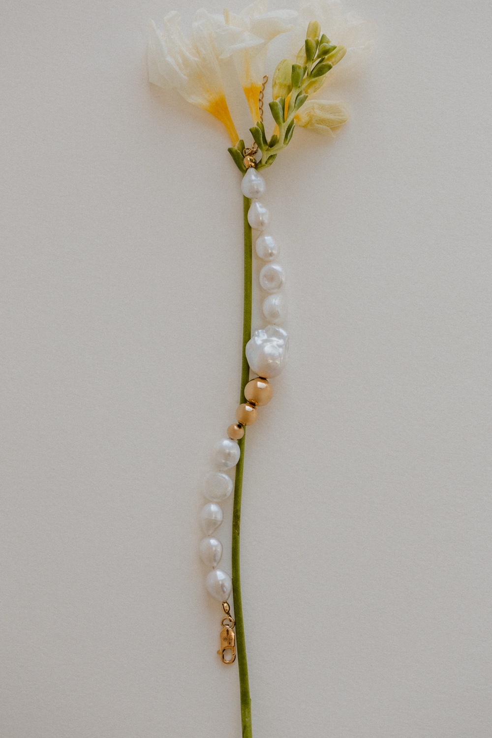 Strona główna 6 img 0912